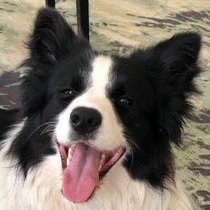 Meet your Posher, Jaclyn